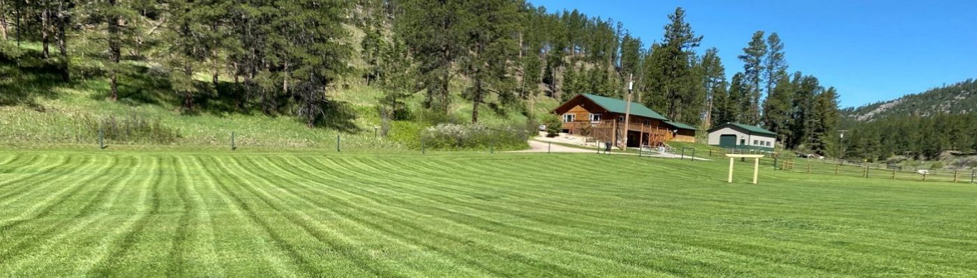 Grumpy Grizzly Property Maintenance